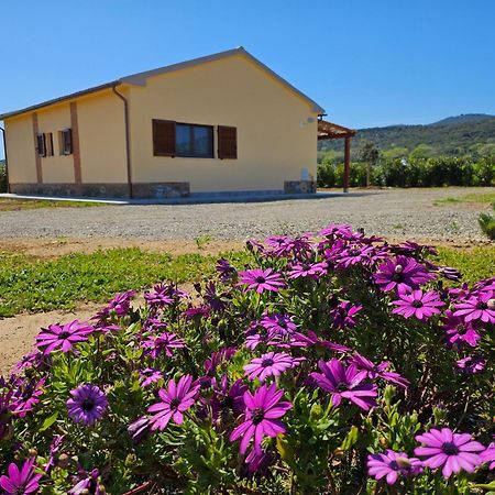 Agriturismo Fusini 마글리아노 인 토스카나 외부 사진