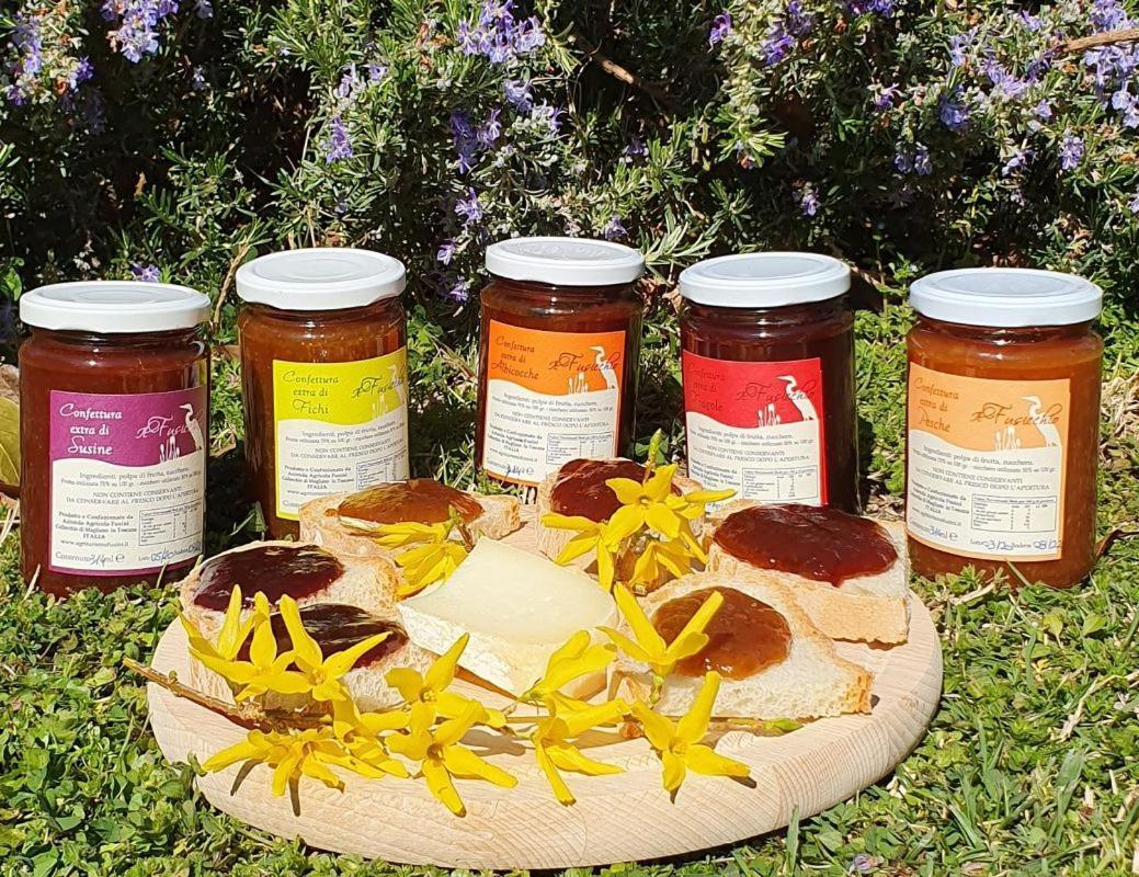 Agriturismo Fusini 마글리아노 인 토스카나 외부 사진