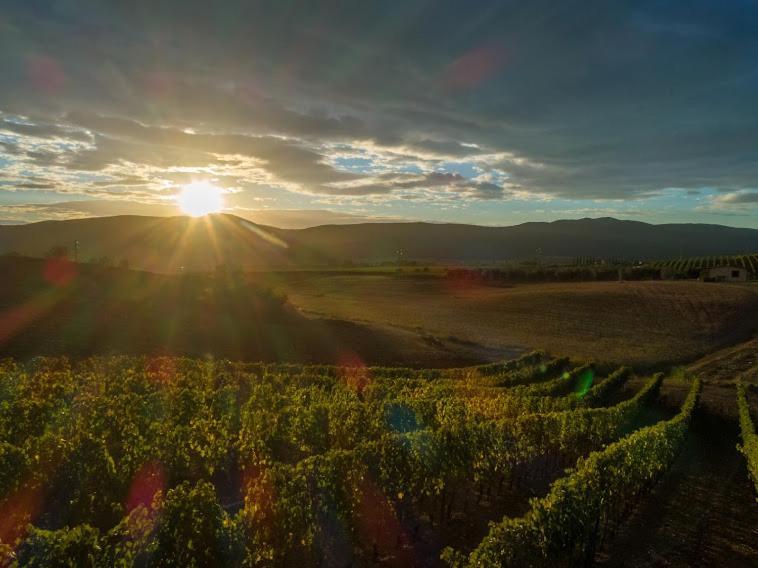 Agriturismo Fusini 마글리아노 인 토스카나 외부 사진