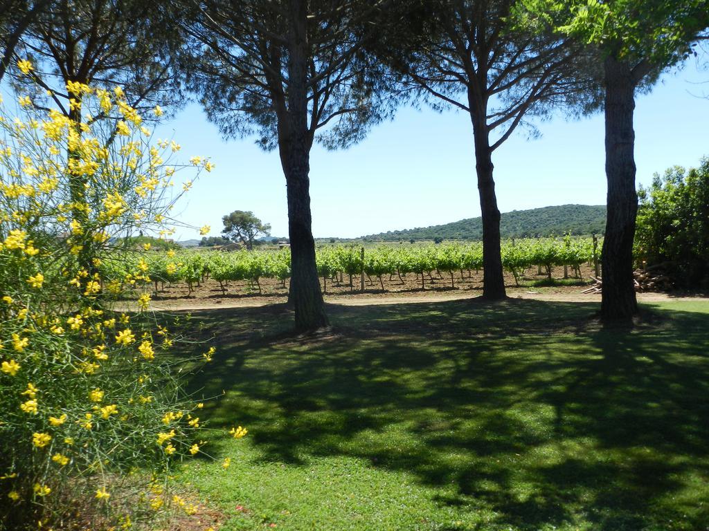 Agriturismo Fusini 마글리아노 인 토스카나 외부 사진