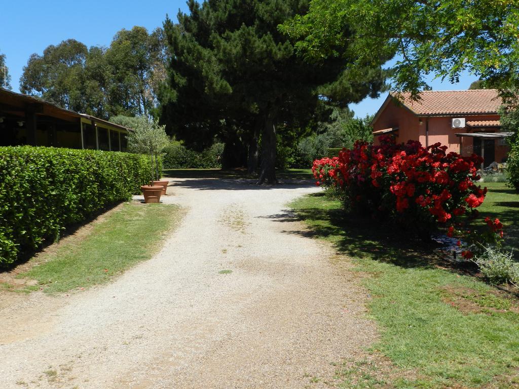 Agriturismo Fusini 마글리아노 인 토스카나 외부 사진