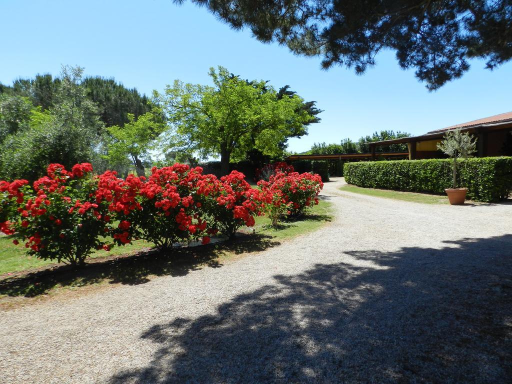Agriturismo Fusini 마글리아노 인 토스카나 외부 사진