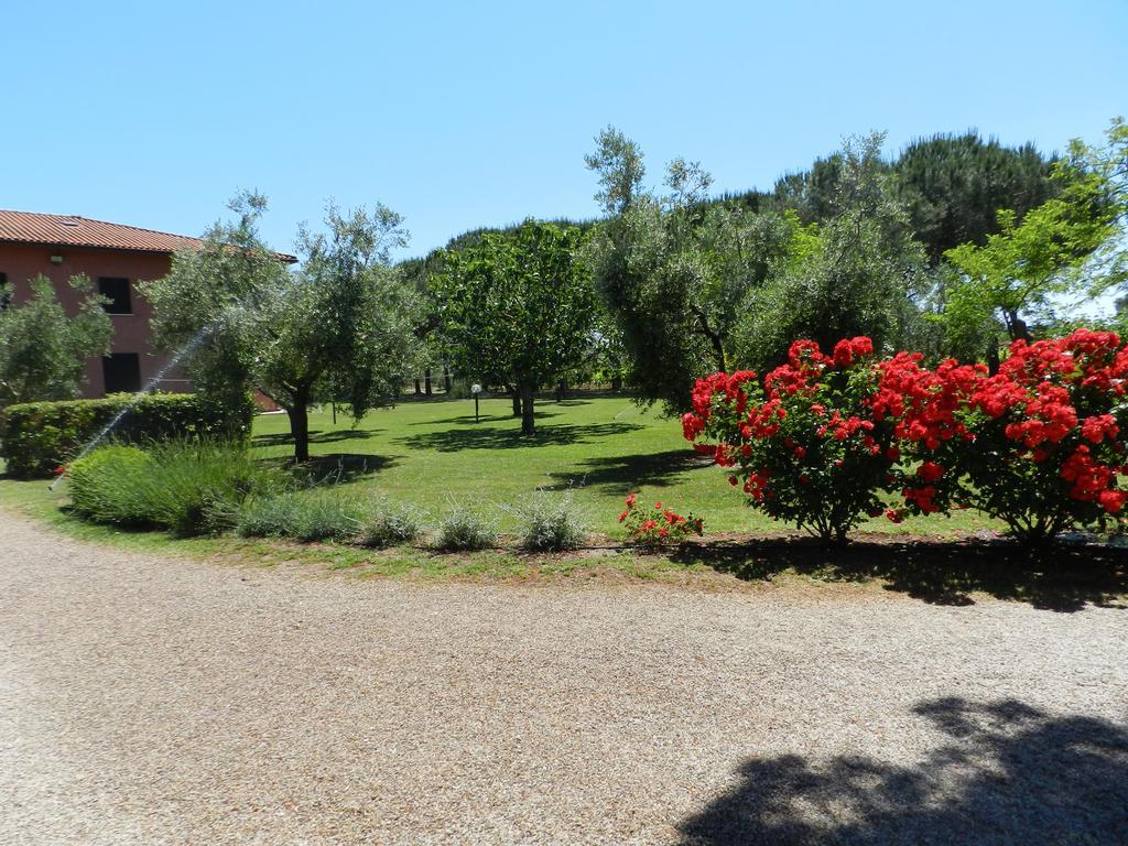 Agriturismo Fusini 마글리아노 인 토스카나 외부 사진