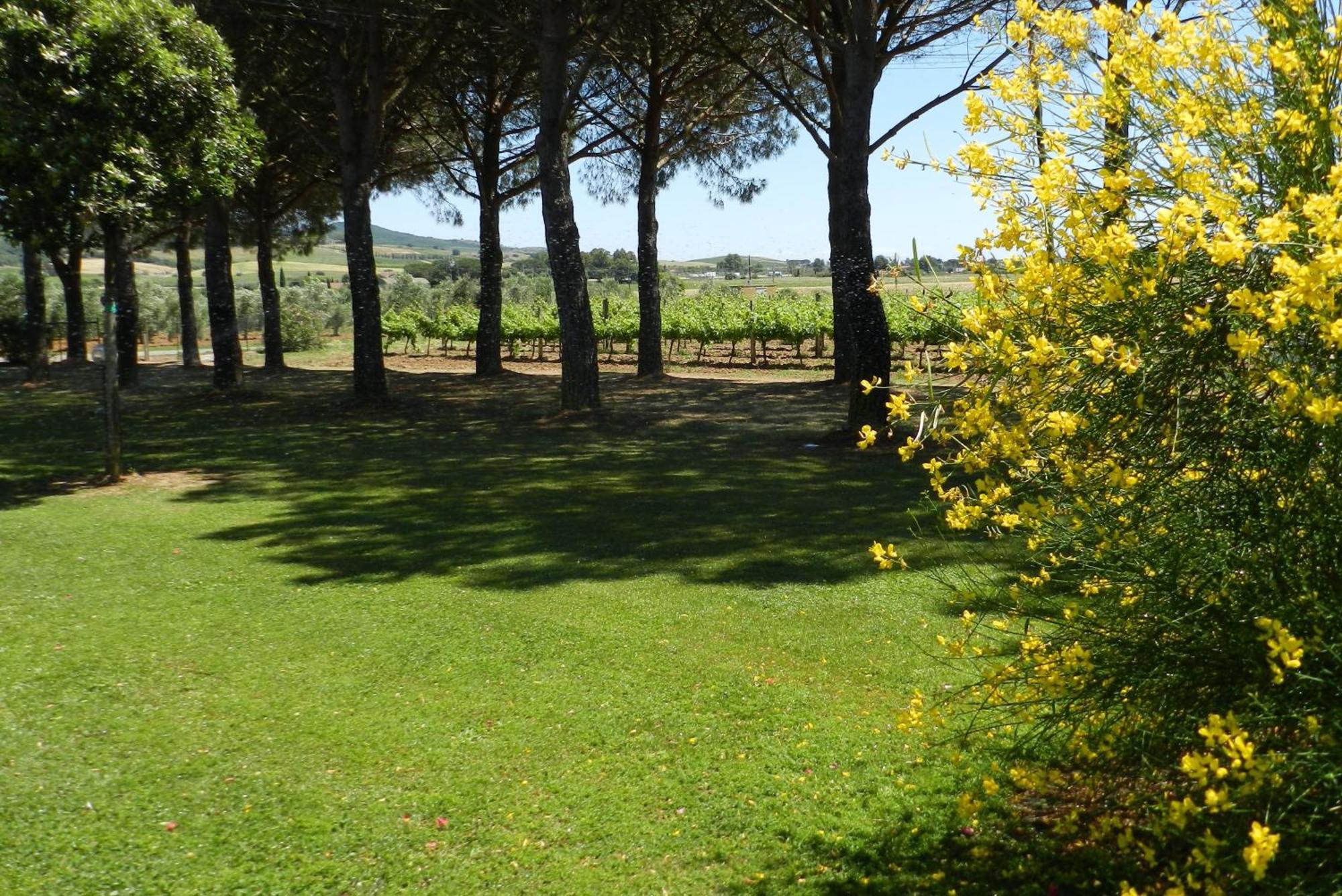 Agriturismo Fusini 마글리아노 인 토스카나 외부 사진