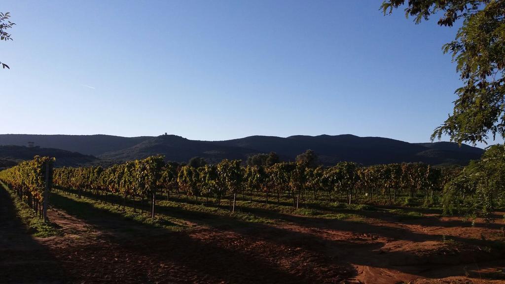 Agriturismo Fusini 마글리아노 인 토스카나 외부 사진