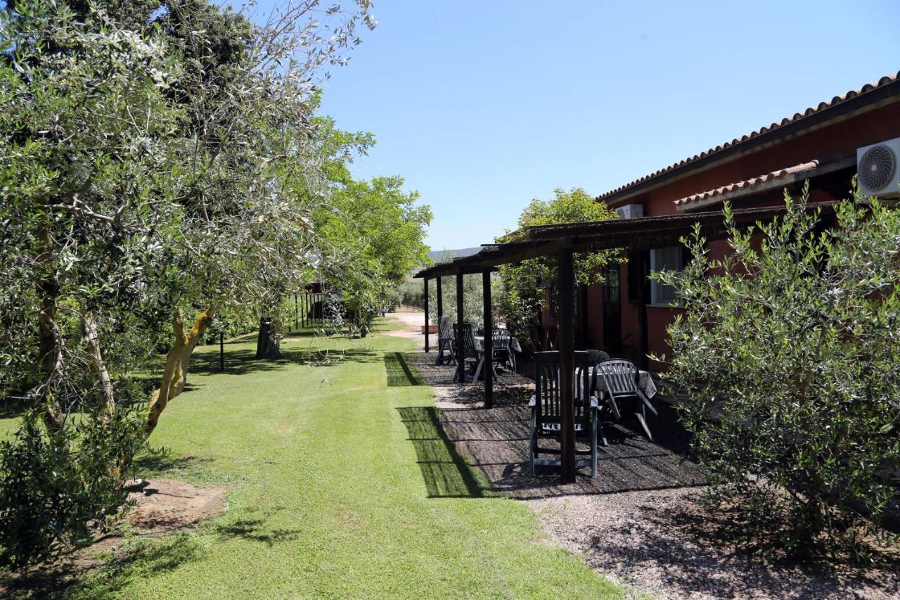 Agriturismo Fusini 마글리아노 인 토스카나 외부 사진